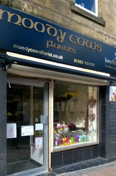 moodycows