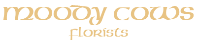 Shop logo
